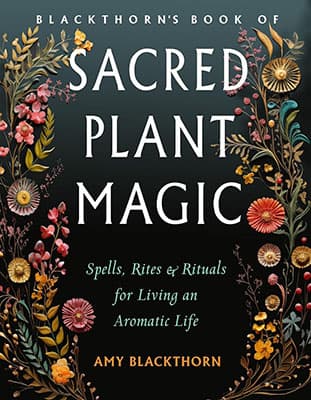 Blackthorns Sacred Plant Magic by Amy Blackthorn