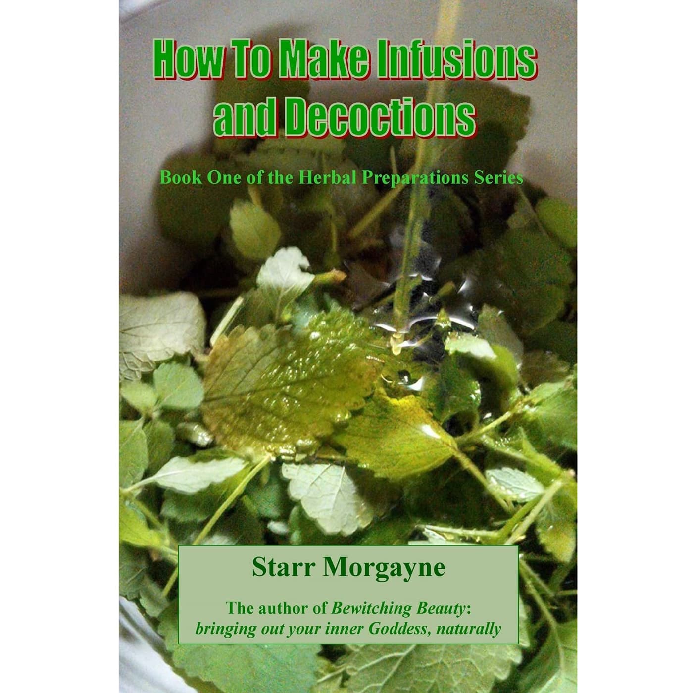 How to Make Infusions & Decoctions by Starr Morgayne
