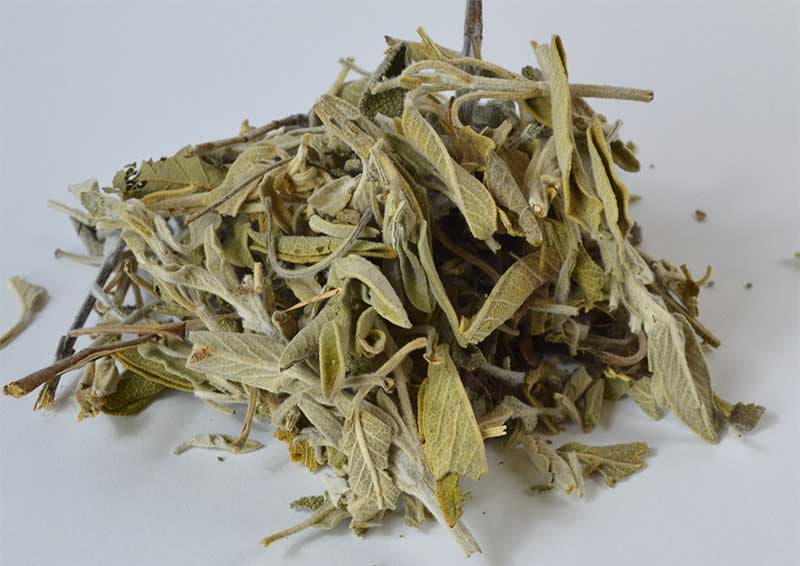 Sage Leaf cut 2oz (Salvia officinalis)