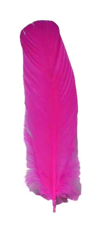 (set of 10) Pink feather 12"
