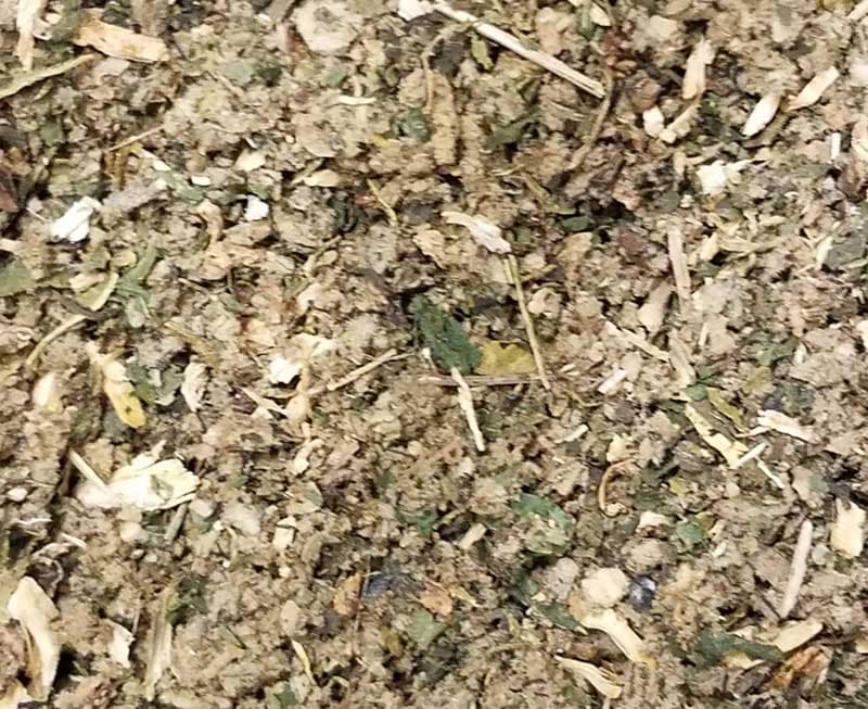 1 Lb Protection spell mix