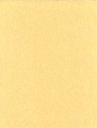 Light Parchment 500 Pack (8 1/2" x 11")
