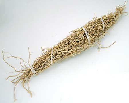 Patchouli Root 1 root bundle (Pogostemon cablin)