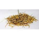 Witches Grass cut 1oz (Agropyron repens)